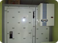 Холодильная камера для мясного цеха